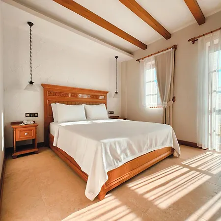 Bed & Breakfast Dilek Hanim Konagi 4*