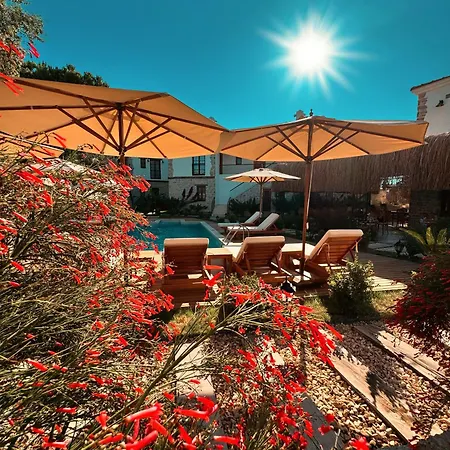 Bed & Breakfast Dilek Hanim Konagi 4*