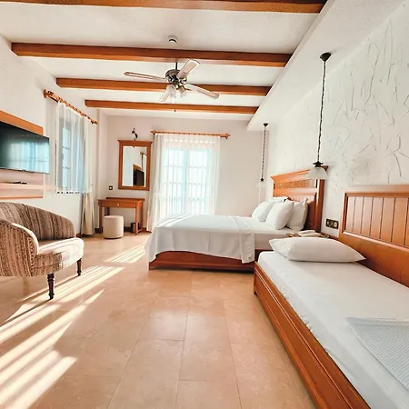 Dilek Hanim Konagi Bed and breakfast